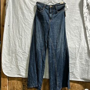 NWT Anthropologie wide leg blue denim pants. Size: 29